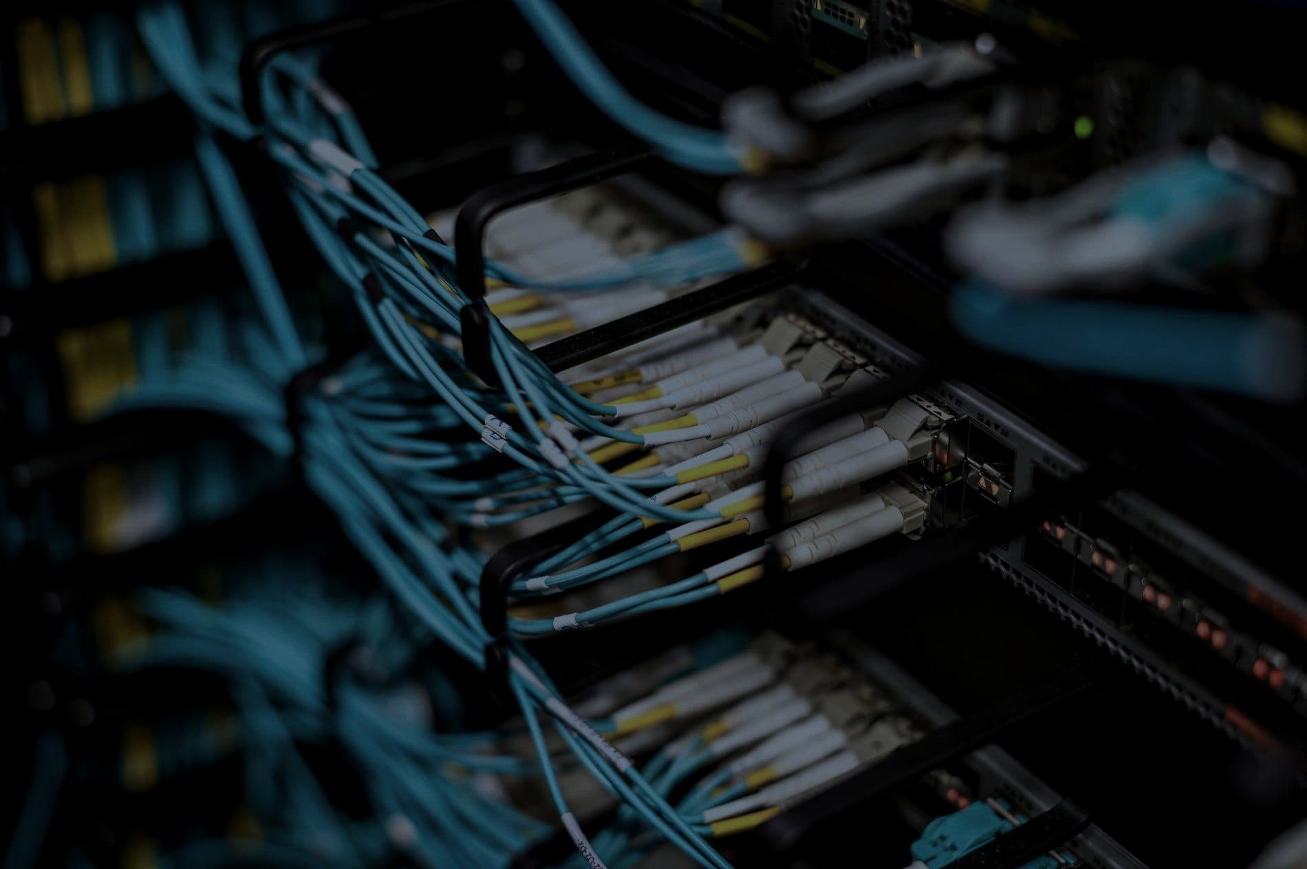 Network cables plugged into a patch panel in a server rack