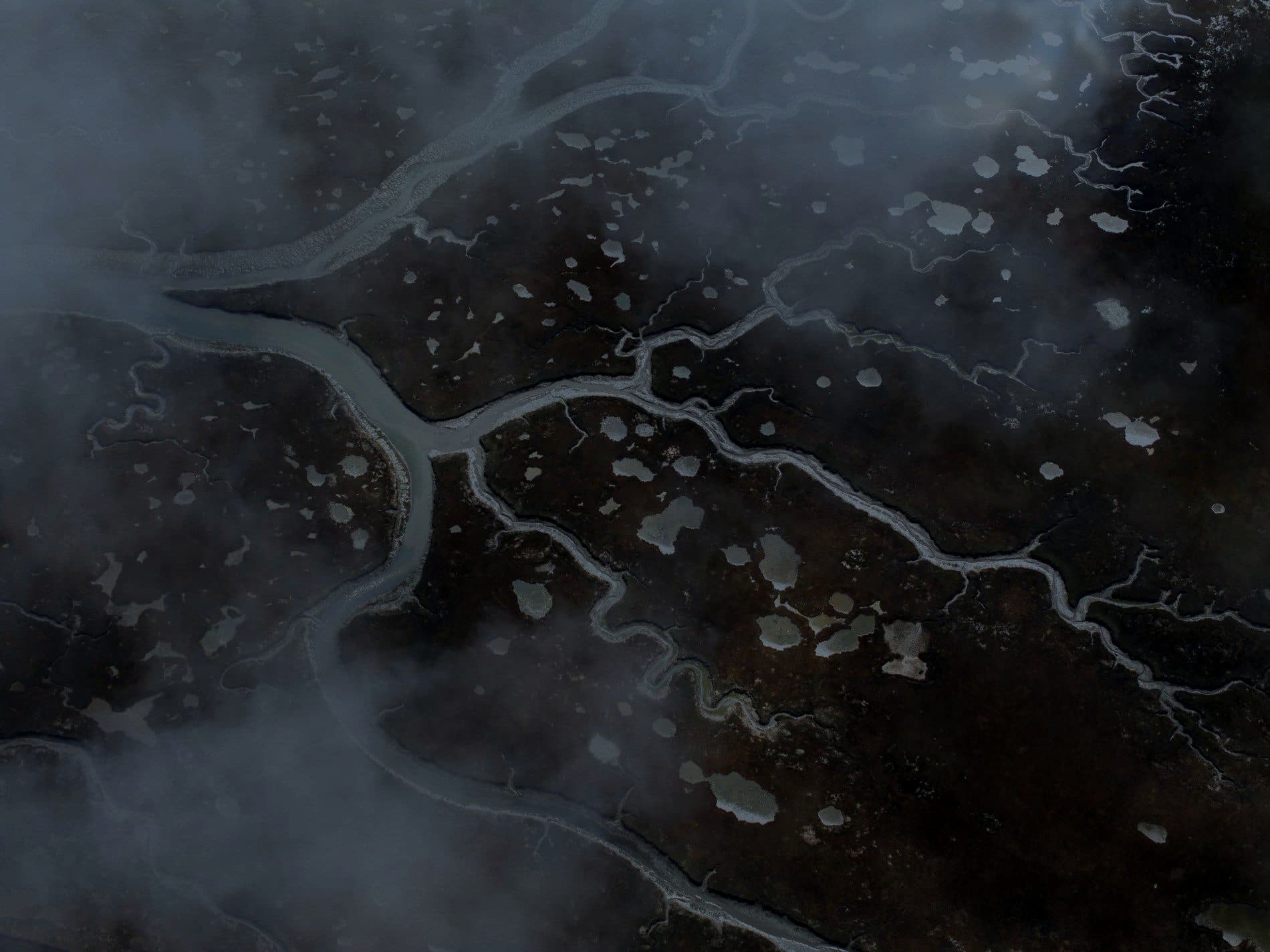 Aerial view of a river delta branching across the landscape