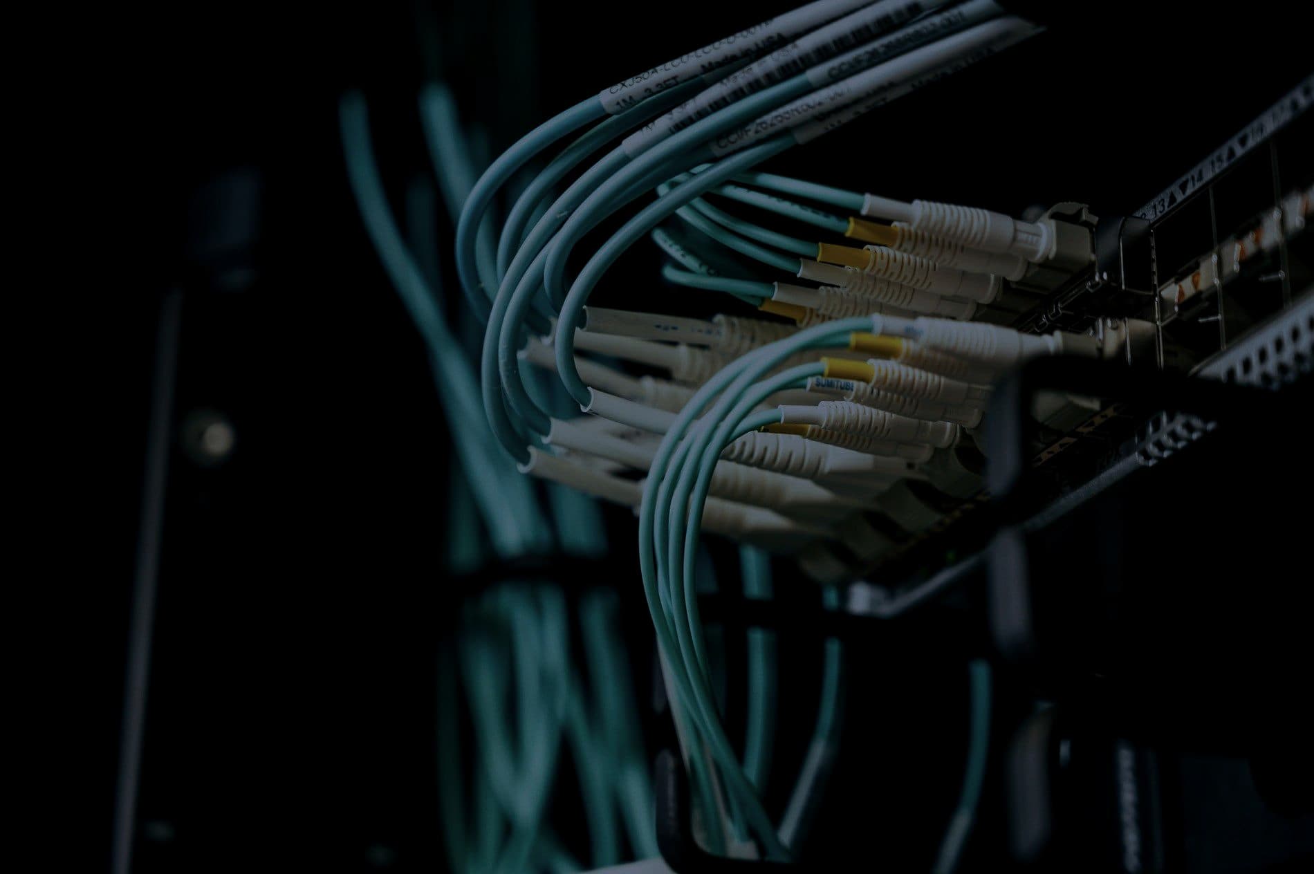 Fibre cables connected to network equipment